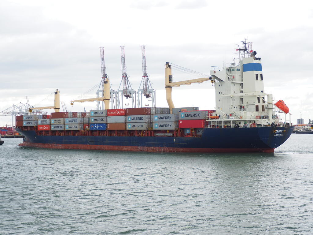 msc yosheen